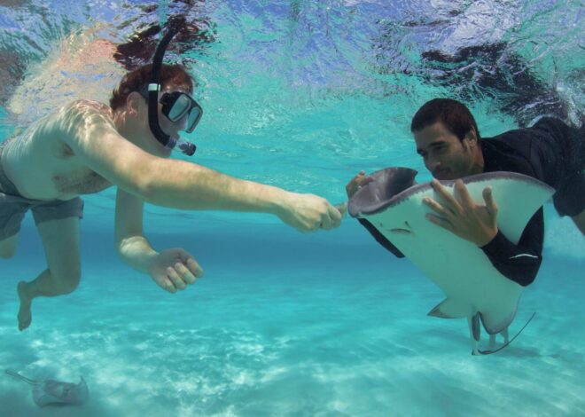 Bagaimana Crystal Charters dibangun kembali setelah Covid dengan Doola dan sekarang berkembang di luar Kepulauan Cayman