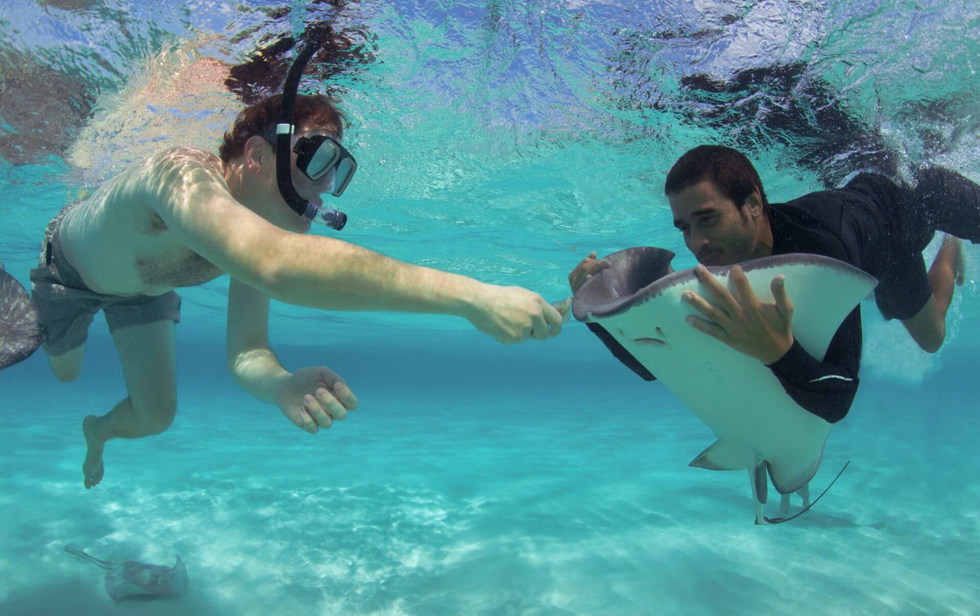 Bagaimana Crystal Charters dibangun kembali setelah Covid dengan Doola dan sekarang berkembang di luar Kepulauan Cayman